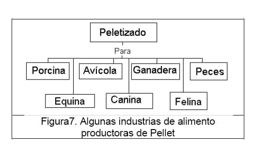Diseño conceptual de una máquina peletizadora de alimento para aves de corral para una producción de 1 tonelada diaria - Image 9