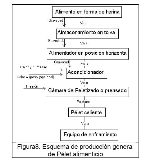 Diseño conceptual de una máquina peletizadora de alimento para aves de corral para una producción de 1 tonelada diaria - Image 10