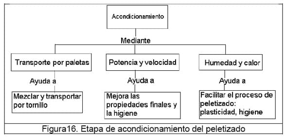 Diseño conceptual de una máquina peletizadora de alimento para aves de corral para una producción de 1 tonelada diaria - Image 19