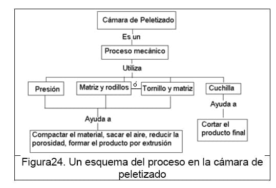 Diseño conceptual de una máquina peletizadora de alimento para aves de corral para una producción de 1 tonelada diaria - Image 29
