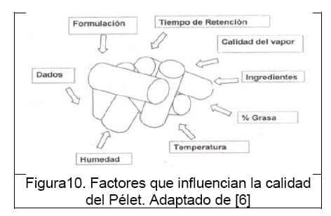 Diseño conceptual de una máquina peletizadora de alimento para aves de corral para una producción de 1 tonelada diaria - Image 12