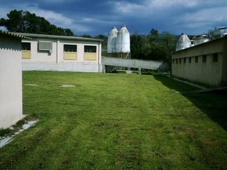 Recomendaciones prácticas para reducir el Impacto Ambiental en granjas porcinas. La Gestión de los Gases - Image 4