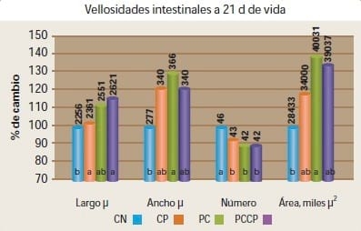 Características morfológicas del intestino en el pollo de engorda con el uso de Safmannan - Image 2
