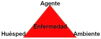 Influencia de genotipo, nutrición y manejo en la respuesta inmune de los pollos - Image 1