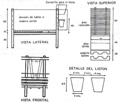 Manejo de la ternera antes del nacimiento - Image 4