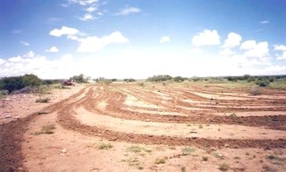 Provocando cobertura vegetal, El poder del arado. Experiencia de un productor ganadero - Image 2