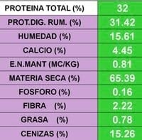 Elaboracion de bloques multinutricionales - Image 7