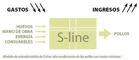 Gama S-line: Nuevos estándares en el proceso de incubación de carga única - Image 4