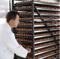 Gama S-line: Nuevos estándares en el proceso de incubación de carga única - Image 9
