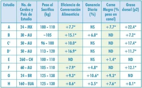 Inmunocastración en cerdos - Pfizer presenta Improvac - Image 8