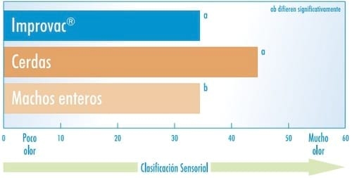 Inmunocastración en cerdos - Pfizer presenta Improvac - Image 12