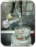 El Dimethyl Sulfoxido (DMSO) en el Caballo - Image 2