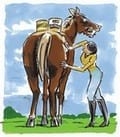 El Dimethyl Sulfoxido (DMSO) en el Caballo - Image 1