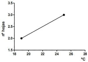 Dinámica de aparición de hojas en sphaeralcea bonarensis como metodo para el calculo de su temperatura base - Image 19