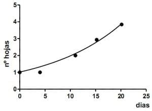 Dinámica de aparición de hojas en sphaeralcea bonarensis como metodo para el calculo de su temperatura base - Image 16