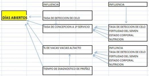 La sensibilidad de los parámetros reproductivos - Image 1