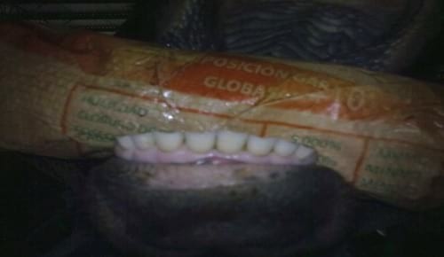 Prótesis dentales bovinas - Image 1