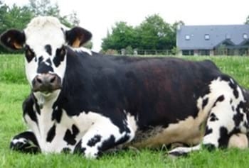 Asonormando: Francia, una experiencia para el mejoramiento e innovación en el manejo agropecuario - Image 1