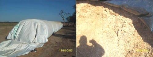 Engorde a Corral (FEEDLOT) - Image 1