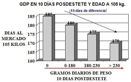 Nutrición rentable del lechón moderno (parte III). El impulso para el crecimiento - Image 3