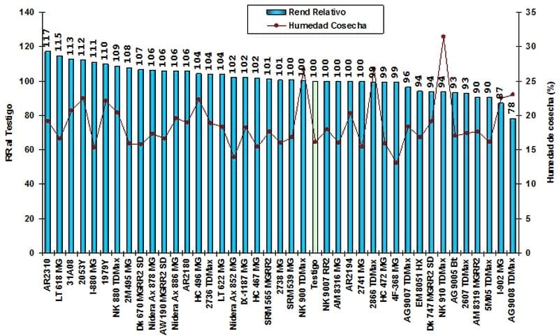 Caracterización y Evaluación comparativa de Cultivares de Maíz en la localidad de Colón (Bs As). Campaña 2009/10 - Image 3