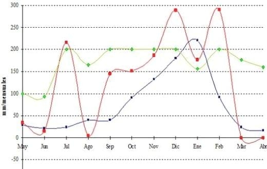 Fertilización fosforada liquida en maíz - Image 2