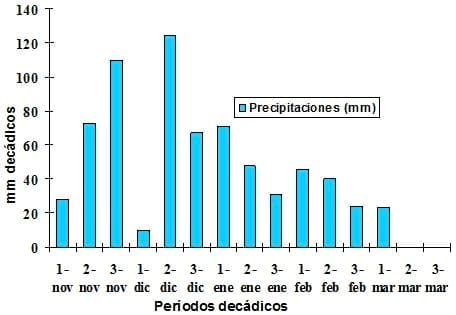 Fertilización fosforada liquida en maíz - Image 3