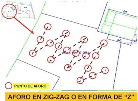¿Cómo aforar un potrero para pastoreo correctamente? - Image 4