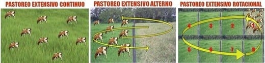 ¿Cómo aforar un potrero para pastoreo correctamente? - Image 2
