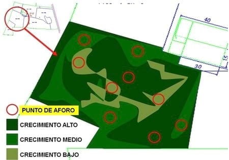 ¿Cómo aforar un potrero para pastoreo correctamente? - Image 8