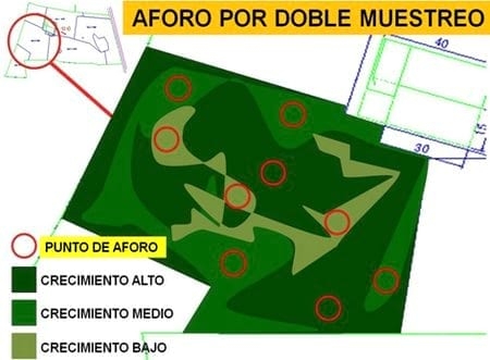 ¿Cómo aforar un potrero para pastoreo correctamente? - Image 5