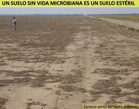 Impacto ambiental del PRV sobre el ecosistema ganadero - Image 4