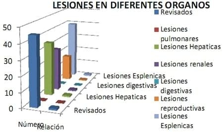 Monitoreo en Rastro como herramienta de Diagnóstico en Cerdos - Image 18