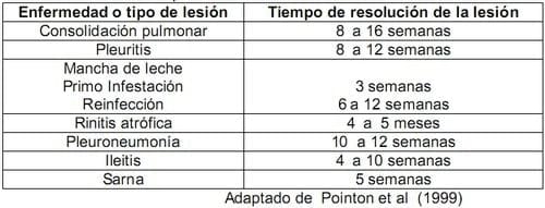 Monitoreo en Rastro como herramienta de Diagnóstico en Cerdos - Image 1