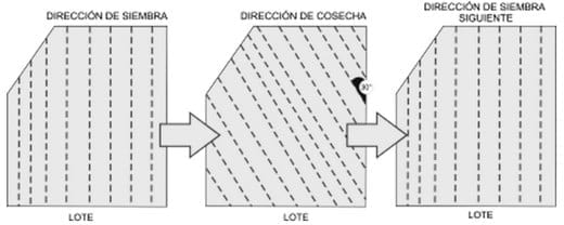 Consejos importantes para la cosecha del Trigo 2010 - Image 3