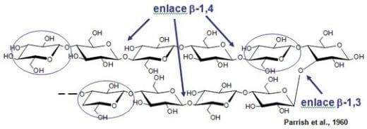 Combinar enzimas - Image 2