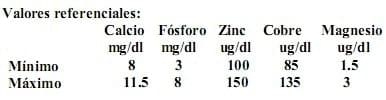 Suplementar via parenteral con macro y micronutrientes para mejorar resultados productivos - Image 2