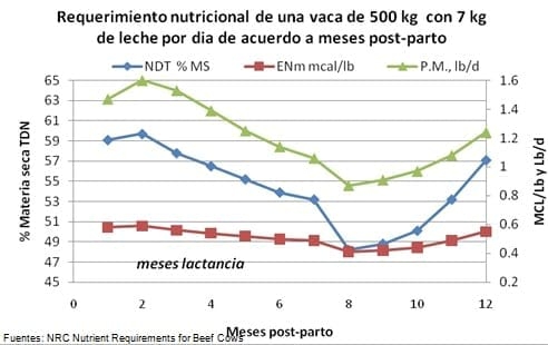 Temporada de Monta y la disponibilidad de Forraje clave del éxito reproductivo - Image 3