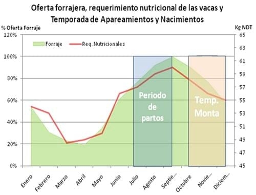 Temporada de Monta y la disponibilidad de Forraje clave del éxito reproductivo - Image 5