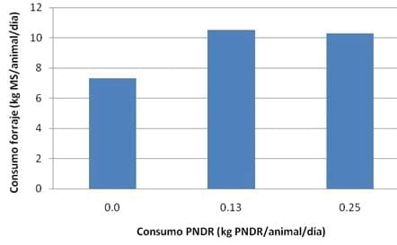 Suplementacion con proteina no degradable en rumen en ganado de carne - Image 3