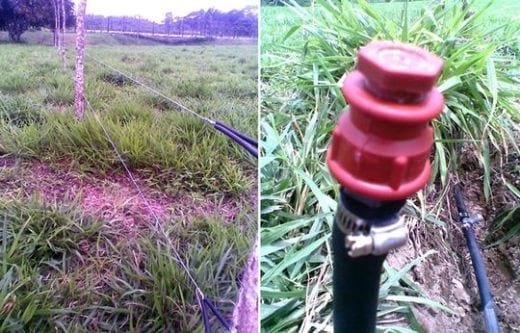 Una experiencia de campo con PRV en Ecuador - Image 7
