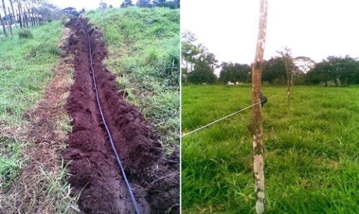Una experiencia de campo con PRV en Ecuador - Image 6