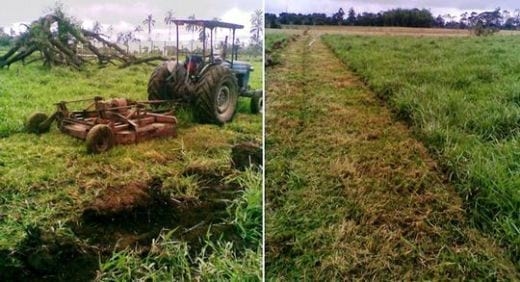 Una experiencia de campo con PRV en Ecuador - Image 5