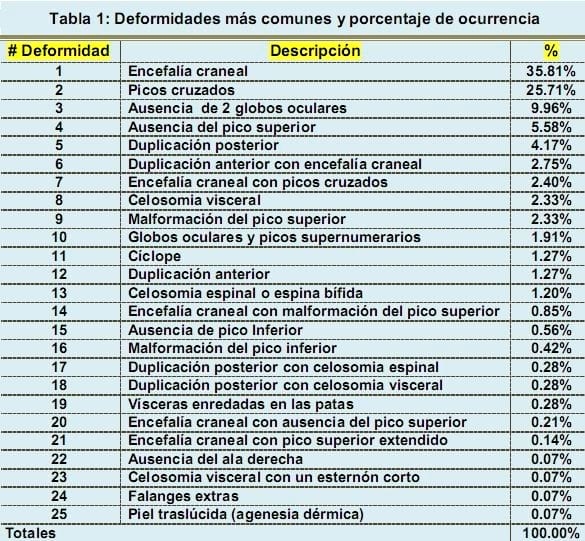 Deformidades en los Embriones de Pollitos de engorde - Image 1