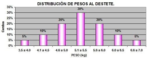 Nutrición rentable del lechón moderno (Parte IV). Reduciendo la variación de peso - Image 8