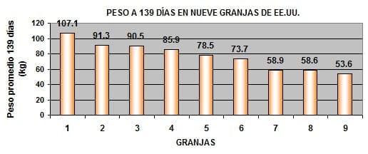 Nutrición rentable del lechón moderno (Parte IV). Reduciendo la variación de peso - Image 2