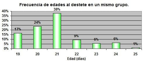 Nutrición rentable del lechón moderno (Parte IV). Reduciendo la variación de peso - Image 3