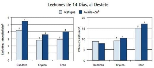 La Nutrición de la Cerda, impacta la función inmune y la Salud Intestinal de los Lechones - Image 2