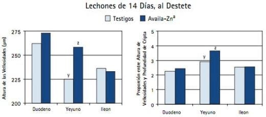 La Nutrición de la Cerda, impacta la función inmune y la Salud Intestinal de los Lechones - Image 3