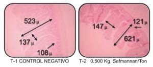 Efectos de Safmannan en el comportamiento productivo y la conformación anatomo-histológica de las vísceras digestivas del pollo de engorda. Parte II - Image 6